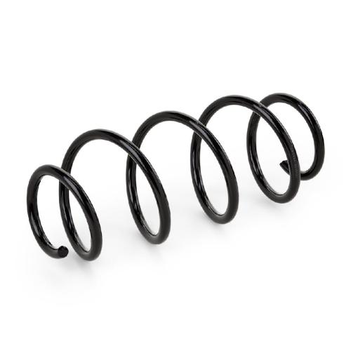 RIDEX 188C0295 2x Federn Fahrwerksfedern Vorne für VW Golf 5I (5K1) Bild RIDEX 188C0295 2x Federn Fahrwerksfedern Vorne für VW Golf 5I (5K1)