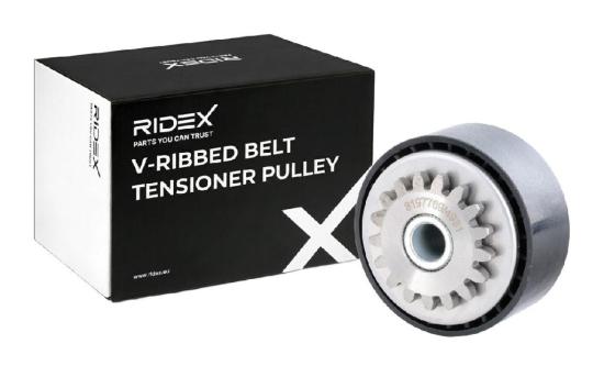 RIDEX 310T0099 Spannrolle Keilrippenriemen für RENAULT Clio 1II Schrägheck Bild RIDEX 310T0099 Spannrolle Keilrippenriemen für RENAULT Clio 1II Schrägheck