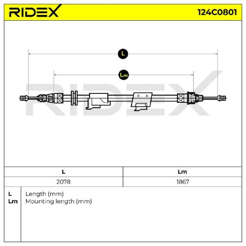 RIDEX Handbremsseil für FORD MONDEO IV Turnier (BA7) Bild RIDEX Handbremsseil für FORD MONDEO IV Turnier (BA7)