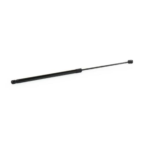 RIDEX Motorhaubendämpfer für AUDI A4 Avant (8ED, B7) Bild RIDEX Motorhaubendämpfer für AUDI A4 Avant (8ED, B7)
