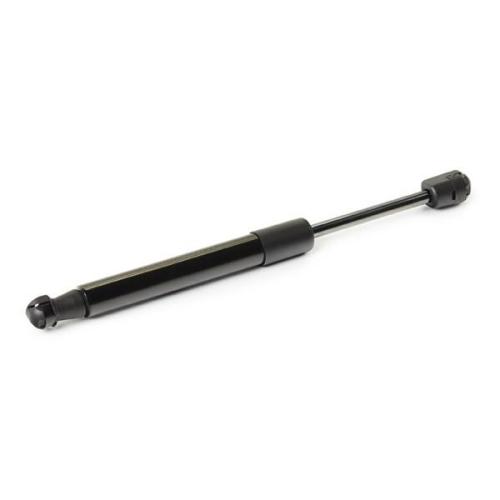 RIDEX Motorhaubendämpfer für RENAULT Scénic 1II (JZ0/1) Bild RIDEX Motorhaubendämpfer für RENAULT Scénic 1II (JZ0/1)