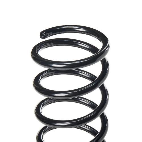 RIDEX 188C0022 2x Federn Fahrwerksfedern Hinten für FORD FOCUS (DAW, DBW) Bild RIDEX 188C0022 2x Federn Fahrwerksfedern Hinten für FORD FOCUS (DAW, DBW)
