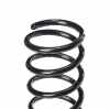 RIDEX 188C0022 2x Federn Fahrwerksfedern Hinten für FORD FOCUS (DAW, DBW) Bild RIDEX 188C0022 2x Federn Fahrwerksfedern Hinten für FORD FOCUS (DAW, DBW)