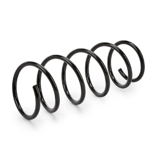 RIDEX 188C0420 2x Federn Fahrwerksfedern Vorne für RENAULT Clio 1 Bild RIDEX 188C0420 2x Federn Fahrwerksfedern Vorne für RENAULT Clio 1