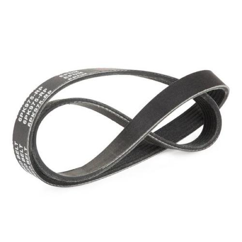 Keilrippenriemen RIDEX PLUS für FORD Fiesta Mk6 Schrägheck (JA8, JR8) für MINI Bild Keilrippenriemen RIDEX PLUS für FORD Fiesta Mk6 Schrägheck (JA8, JR8) für MINI
