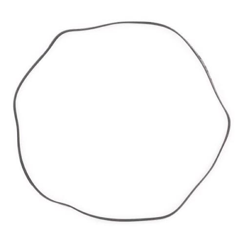 Keilrippenriemen RIDEX PLUS 6PK1885 für VW POLO (9N) PASSAT Variant (3B6) Bild Keilrippenriemen RIDEX PLUS 6PK1885 für VW POLO (9N) PASSAT Variant (3B6)