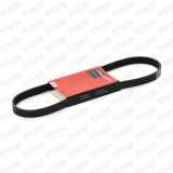 Keilrippenriemen STARK 5PK875 für OPEL ZAFIRA B (A05) Astra G CC (T98) Zafira A