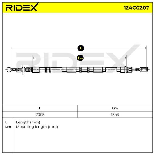 RIDEX Handbremsseil Hinten Rechts für AUDI A4 Avant (8ED, B7) Bild RIDEX Handbremsseil Hinten Rechts für AUDI A4 Avant (8ED, B7)