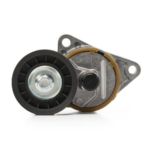 RIDEX Spannarm Keilrippenriemen für FORD FOCUS (DAW, DBW) Bild RIDEX Spannarm Keilrippenriemen für FORD FOCUS (DAW, DBW)