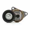RIDEX Spannarm Keilrippenriemen für FORD FOCUS (DAW, DBW) Bild RIDEX Spannarm Keilrippenriemen für FORD FOCUS (DAW, DBW)