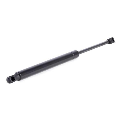RIDEX Motorhaubendämpfer für TOYOTA LAND CRUISER 100 (UZJ100) Bild RIDEX Motorhaubendämpfer für TOYOTA LAND CRUISER 100 (UZJ100)
