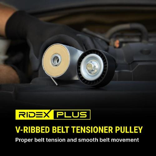 RIDEX PLUS 310T0017P Spannrolle Keilrippenriemen für VW Golf 1V Schrägheck (1J1) Bild RIDEX PLUS 310T0017P Spannrolle Keilrippenriemen für VW Golf 1V Schrägheck (1J1)