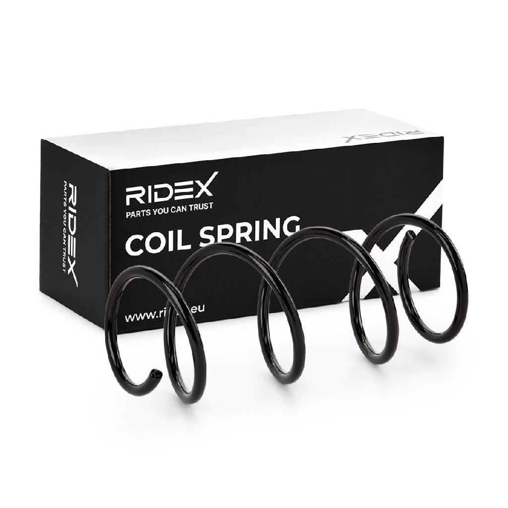 RIDEX 188C0306 2x Federn Fahrwerksfedern Vorne für NISSAN MICRA III (K12)