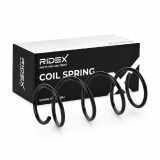 RIDEX 188C0306 2x Federn Fahrwerksfedern Vorne für NISSAN MICRA III (K12)