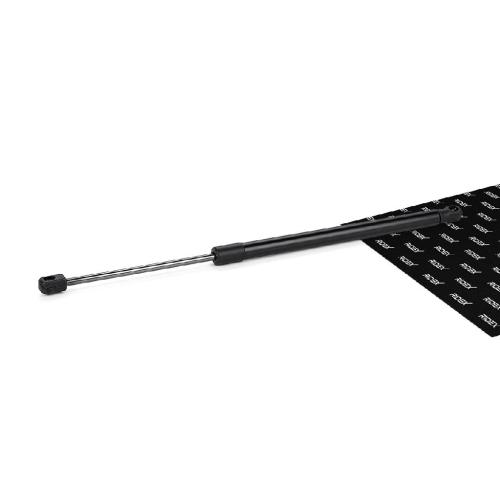 RIDEX 219G0426 Heckklappendämpfer beidseitig Länge:537mm 670N Hub: 180mm 1703822 Bild RIDEX 219G0426 Heckklappendämpfer beidseitig Länge:537mm 670N Hub: 180mm 1703822