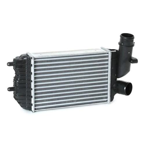 RIDEX 468I0163 Ladeluftkühler/LLK Turbokühler für FIAT 0384E4 1307012080 0384G8 Bild RIDEX 468I0163 Ladeluftkühler/LLK Turbokühler für FIAT 0384E4 1307012080 0384G8