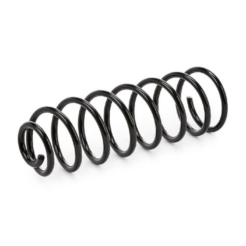 RIDEX 188C0285 2x Federn Fahrwerksfedern Hinten für VW Golf 1I (19E, 1G1) Bild RIDEX 188C0285 2x Federn Fahrwerksfedern Hinten für VW Golf 1I (19E, 1G1)