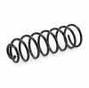 RIDEX 188C0285 2x Federn Fahrwerksfedern Hinten für VW Golf 1I (19E, 1G1) Bild RIDEX 188C0285 2x Federn Fahrwerksfedern Hinten für VW Golf 1I (19E, 1G1)