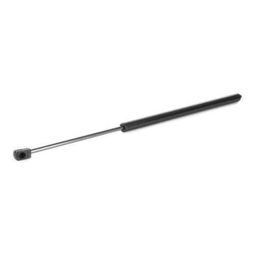 RIDEX Motorhaubendämpfer passend für MERCEDES-BENZ M-Klasse (W164) Bild RIDEX Motorhaubendämpfer passend für MERCEDES-BENZ M-Klasse (W164)