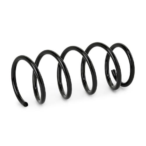 RIDEX 188C1751 2x Federn Fahrwerksfedern Vorne für NISSAN 54010BJ00B Bild RIDEX 188C1751 2x Federn Fahrwerksfedern Vorne für NISSAN 54010BJ00B