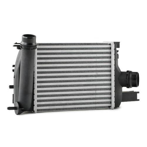 RIDEX 468I0117 Ladeluftkühler/LLK Turbokühler für DACIA DUSTER 144965154R Bild RIDEX 468I0117 Ladeluftkühler/LLK Turbokühler für DACIA DUSTER 144965154R