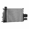 RIDEX 468I0117 Ladeluftkühler/LLK Turbokühler für DACIA DUSTER 144965154R Bild RIDEX 468I0117 Ladeluftkühler/LLK Turbokühler für DACIA DUSTER 144965154R
