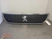 Grill von einem Peugeot Expert (CHROOM)