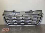 Grill von einem Renault Master (TEC66)