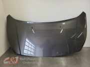 Motorhaube von einem Ford Tourneo Connect