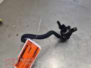 Kraftstoff Druckregler von einem Citroen Berlingo