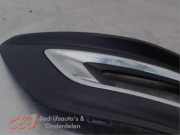 Abdeckplatte Nebelscheinwerfer links von einem Ford Tourneo Custom
