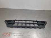 Grill von einem Ford Transit Custom (WIT)