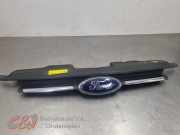 Grill von einem Ford Transit Custom (WIT)