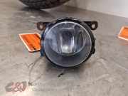 Nebelscheinwerfer links vorne von einem Ford Transit Custom