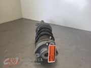 Federbein links vorne Fiat Ducato Kasten 250 50707867