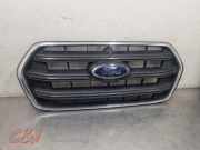 Grill von einem Ford Transit (NVT)