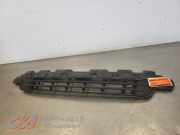 Grill von einem Peugeot Expert