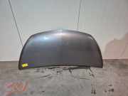 Motorhaube von einem Opel Vivaro (L192)