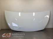 Motorhaube von einem Fiat Talento (OV369)
