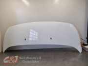 Motorhaube von einem Peugeot Expert (EWP)