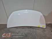 Motorhaube von einem Nissan NV300 (OV369)