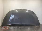 Motorhaube von einem Renault Trafic (OVKPF)