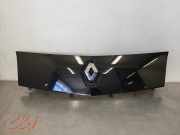 Grill von einem Renault Kangoo (TEGND)