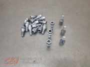 Radmuttern Set von einem Opel Combo