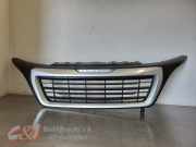 Grill von einem Peugeot Boxer (EWP)