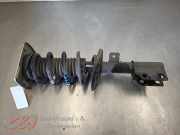 Federbein rechts vorne Fiat Scudo Kasten 9805519980