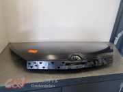 Motorhaube Renault Trafic III Kasten FG XXXXX
