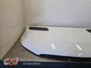 Motorhaube von einem Mercedes Sprinter (9147)