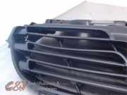 Grill von einem Renault Trafic (0DPL)