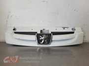 Grill von einem Peugeot Partner (XXXX)